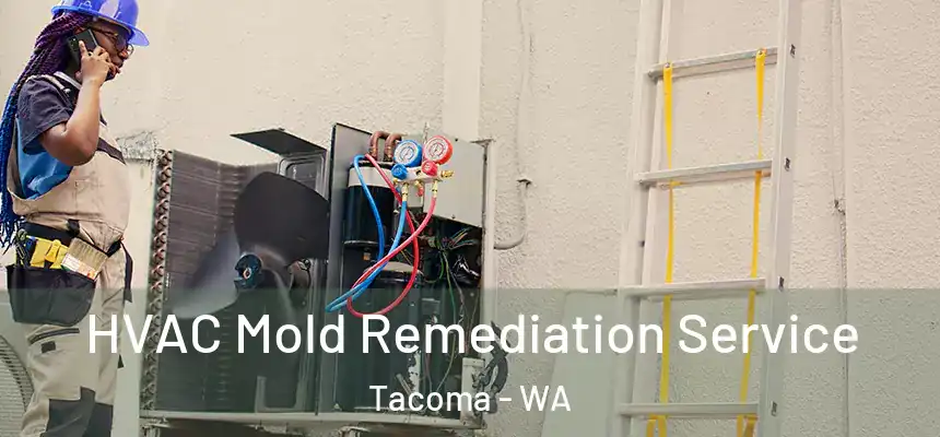  HVAC Mold Remediation Service Tacoma - WA