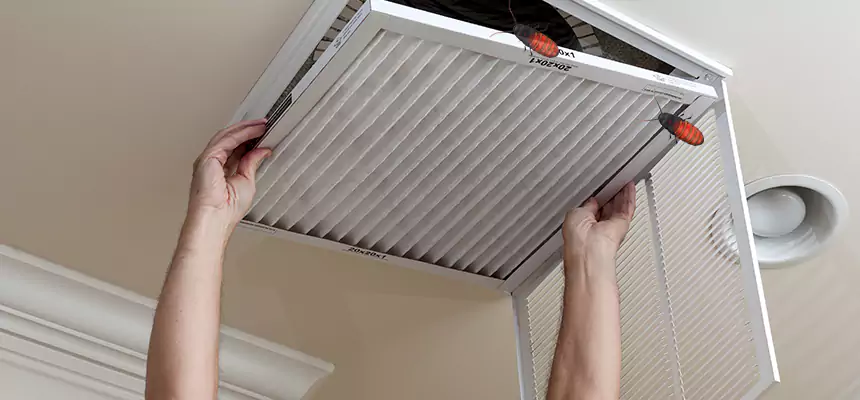 Preventive Cockroach-Proofing for Ducts in Tacoma