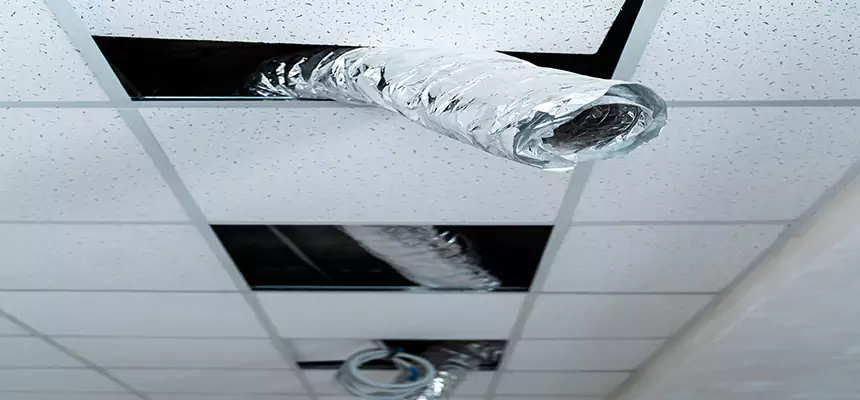 Affordable HVAC Sanitizing After Pest Removal in Tacoma