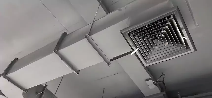 Restorative Allergy Relief Vent Cleaning – Coil, Blower & Housing Detail in Tacoma