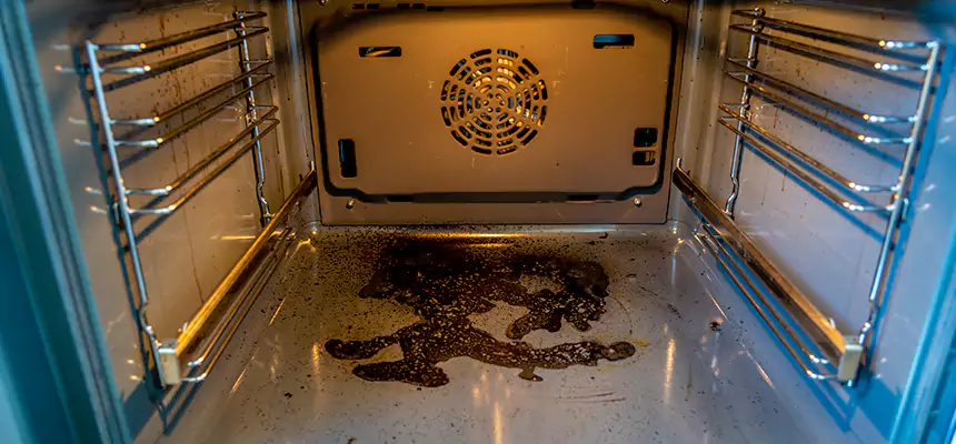 Our Dryer Vent Mold Cleaning Services in Tacoma, WA