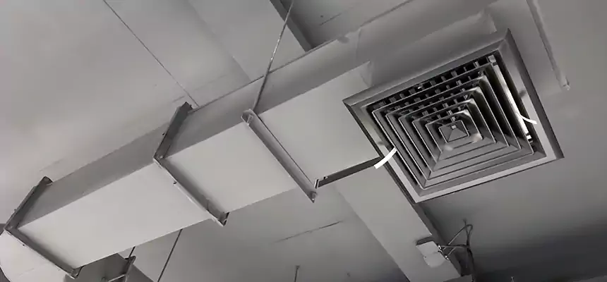 Our Pest Removal From Ducts Services in Tacoma, WA