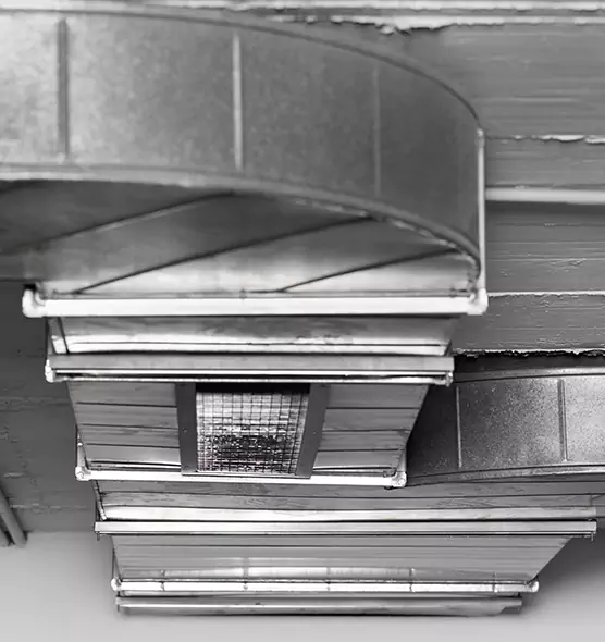 Professional Air Duct Pet Hair Removal in Tacoma, WA