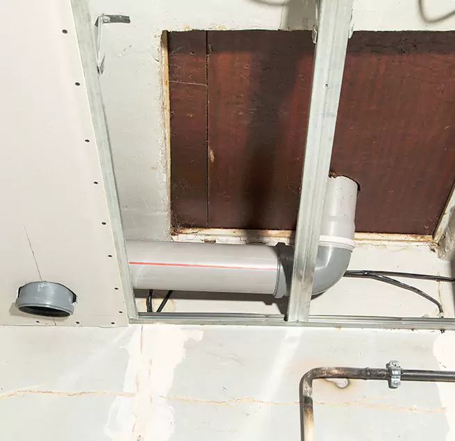 Why Homeowners & Businesses Trust Us in Tacoma, WA?