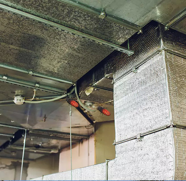 Why Homeowners & Businesses Trust Us Tacoma, WA?