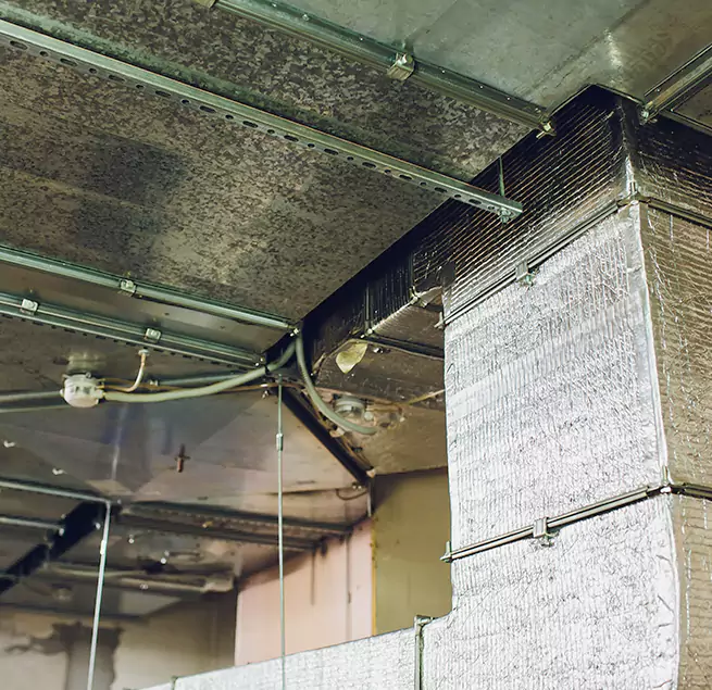 Why Homeowners & Businesses Trust Us in Tacoma, WA?